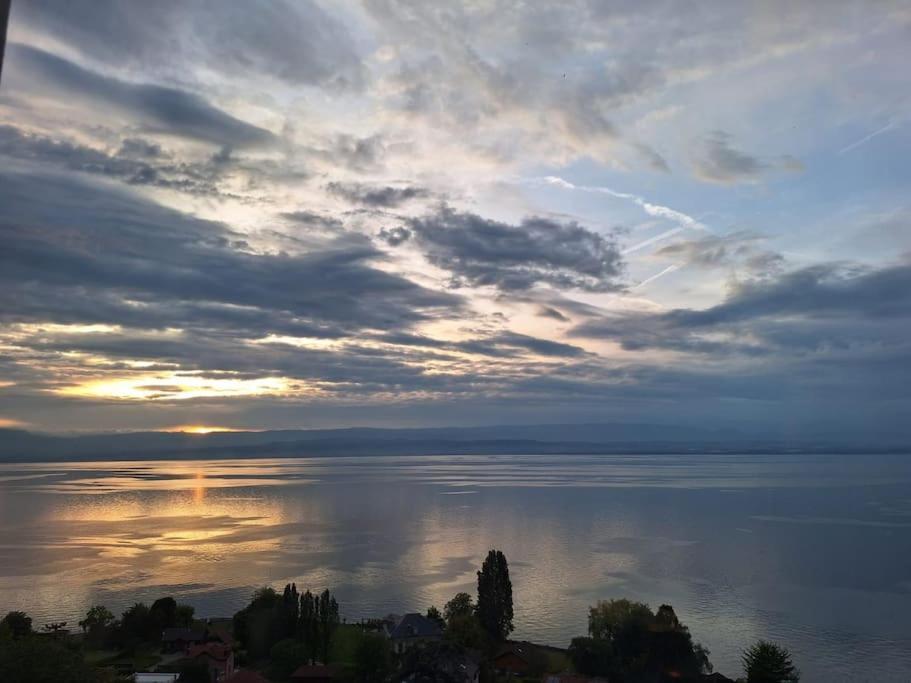 Appartement Avec Vue 180 Sur Le Lac Leman Thonon-les-Bains Kültér fotó